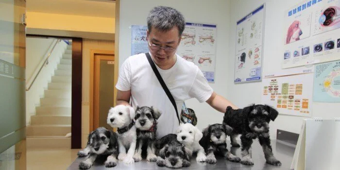 爸爸與七隻毛孩子們