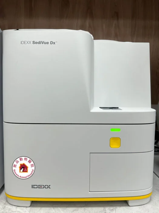 狗貓完整的尿液檢查