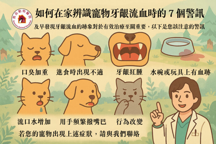 牙齦流血警訊 口臭加重 進食時出現不適 牙齦紅腫 水碗或玩具上有血跡 流口水增生 用手頻繁撥嘴巴 行為改變